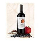 VINO MAIPO VITRAL RESERVA CARMENERE x 750 cc N