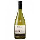 VINO TERRUNYO SAUVIGNON x 750 cc N