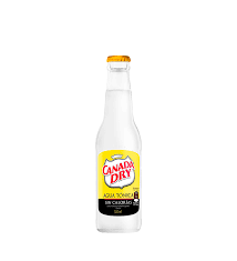 AGUA TONICA CANADA DRY CERO x 300 cc UNIDAD